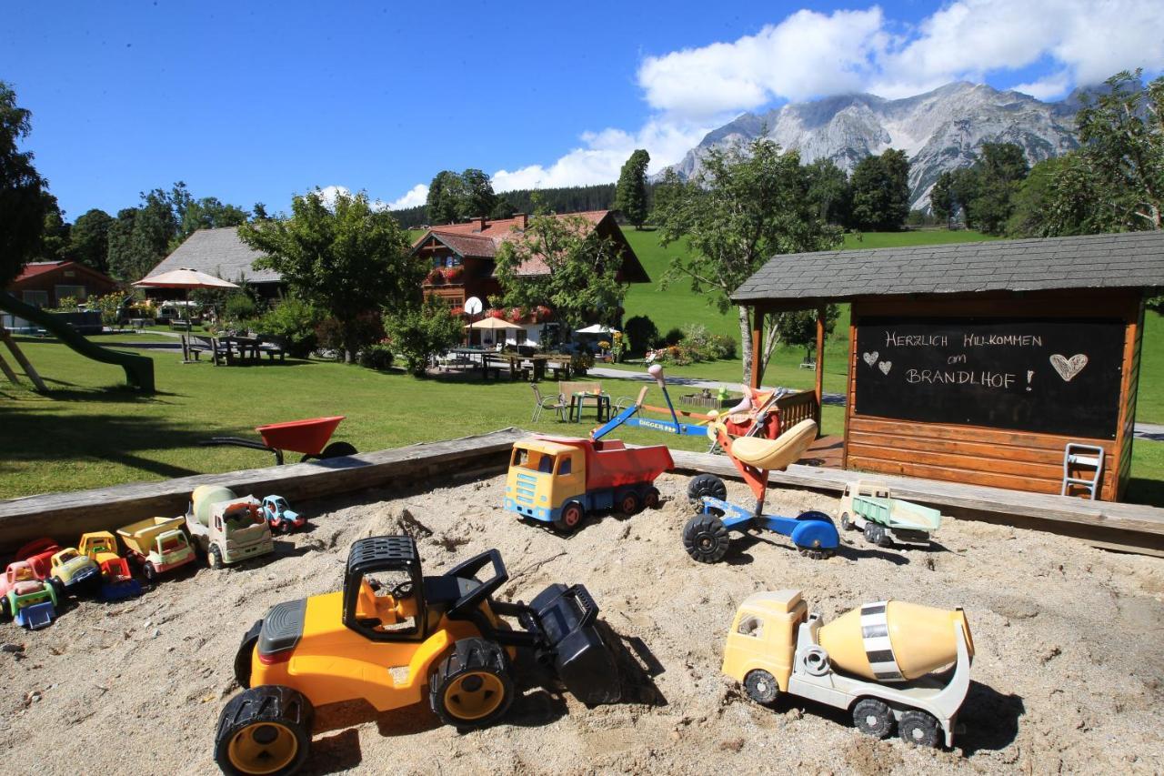 Biobauernhof Brandlhof Ramsau am Dachstein