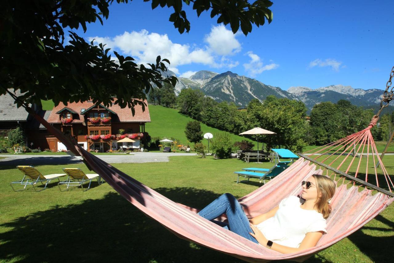 Biobauernhof Brandlhof Ramsau am Dachstein