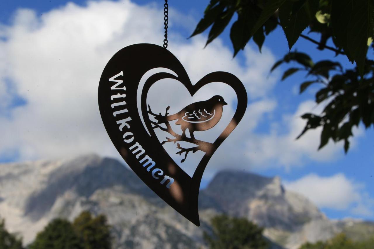 Biobauernhof Brandlhof Apartment Ramsau am Dachstein