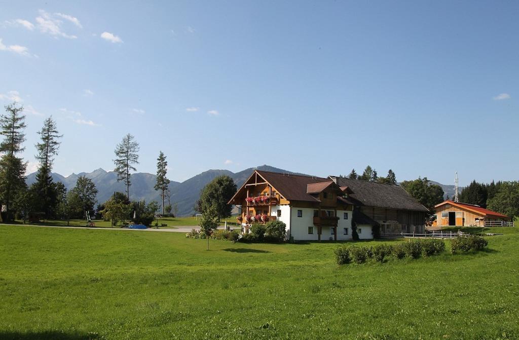 Biobauernhof Brandlhof Ramsau am Dachstein