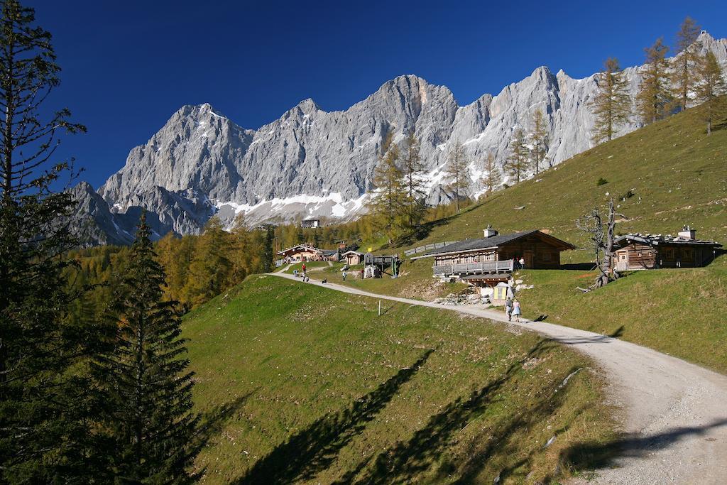 Apartment Biobauernhof Brandlhof Ramsau am Dachstein