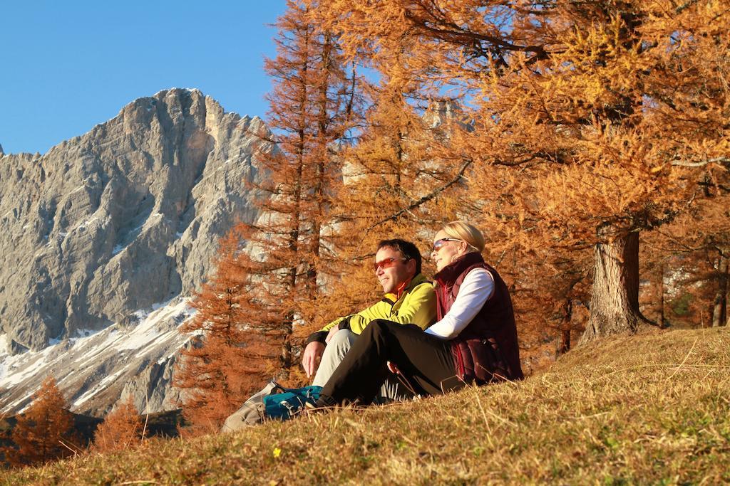 Apartment Biobauernhof Brandlhof Ramsau am Dachstein